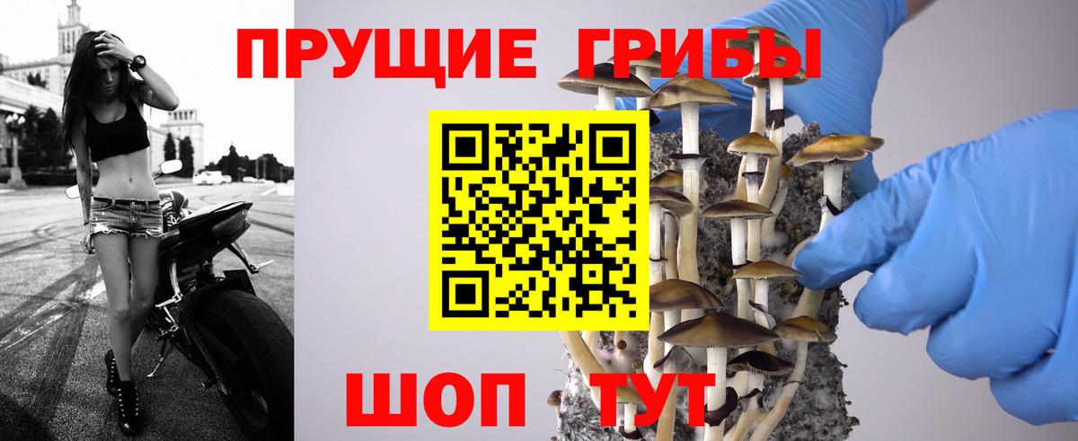 Псилоцибиновые грибы Psilocybine cubensis  Вход с VPN  Луховицы 